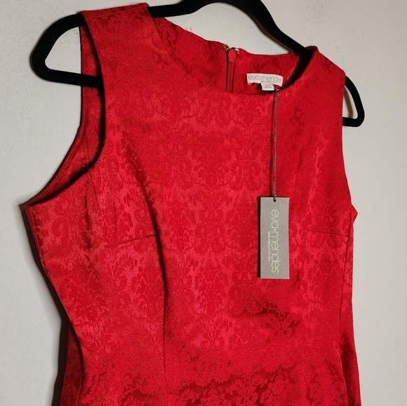 NWT Eva Mendes New York And Company Red Pattern Fit And Flare Dres Size 8 - Picture 5 of 16